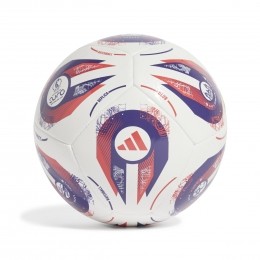 adidasWomenapossEURO25ClubVoetbalMaat5WitPaarsRood