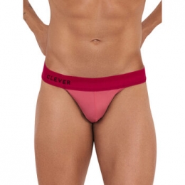 SlipsCleverFervorBriefjes