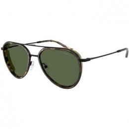 ZonnebrilEmporioArmani0EA2163300171
