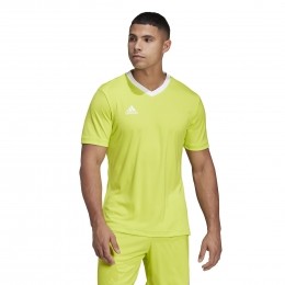 adidasEntrada22VoetbalshirtGeelWit