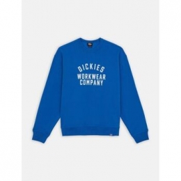 SweaterDickiesGRAPHICHOODIE3-DK0A85ST-J531TURKISHSEA