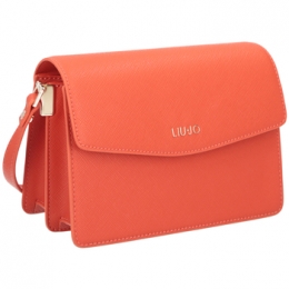 TasLiujoAccessoriAA5173E008771449