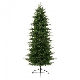 Grandisslimfir1149tipsgreen-Everlands
