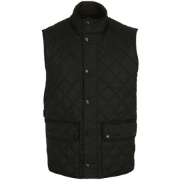 BlazerBarbourLowerdaleGilet