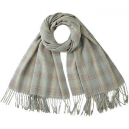 SjaalV1969STELLAsjaal