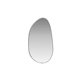 Svea-Salvoorganischespiegel-30x55cm-zilver