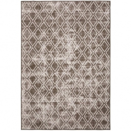 EvaInteriorBuitenkleedBruinFrost200x290cm