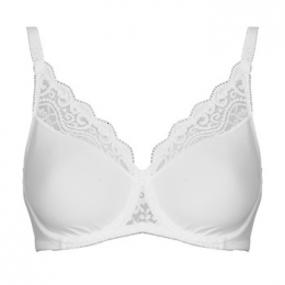 MinimizerbhTriumphAmouretteW01