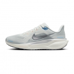 NikePegasus41dames