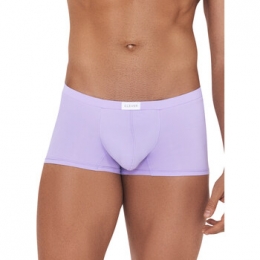 BoxersCleverAngelLatinBoxer