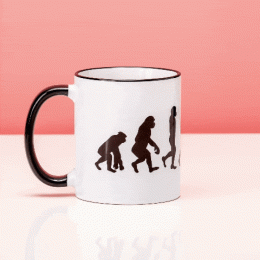 MokBikeEvolution