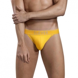 SlipsCleverSlipVerbeelding