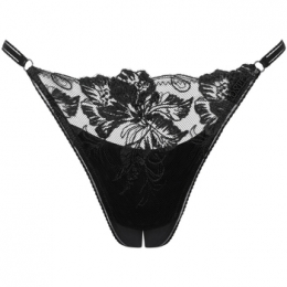 StringsLiscaEMINENCEOpenstring