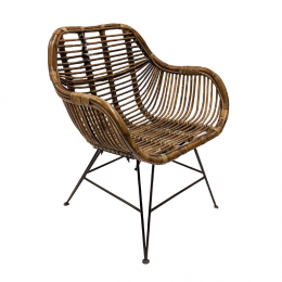 RattanIronLegsDiningTuinstoelVanderLeeden-Vanderleeden