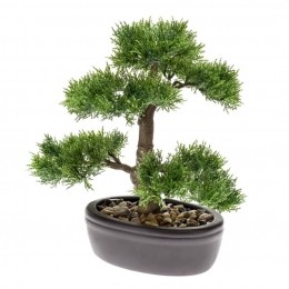 Bonsai3-Driesprongcollection