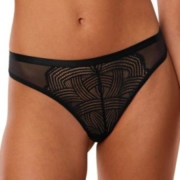 TriumphDelightfulSpotlightBrazilianActie