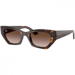 ZonnebrilRay-banZENAUNISEX0RB4430135913
