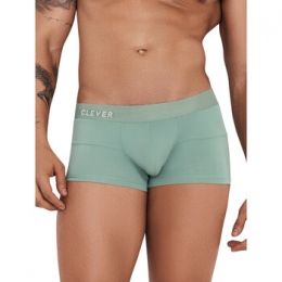 BoxersCleverCurseBoxer