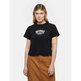 T-shirtKorteMouwDickiesCOMPANIONWTEE-DK0A863K-BLK1BLACK