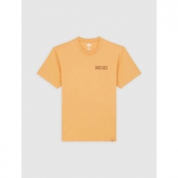T-shirtKorteMouwDickiesCOMPANIONTEE-DK0A4Z98K411-OAKBUFF