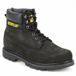 LaarzenCaterpillarCOLORADO