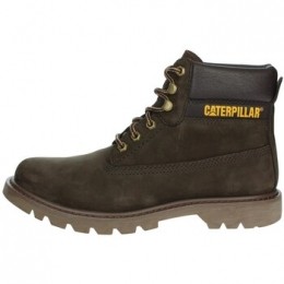 LaarzenCaterpillarCOLORADO20