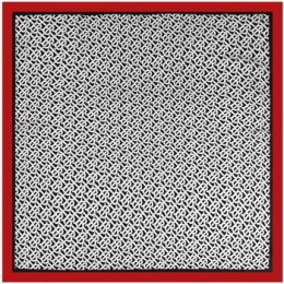 SjaalV1969CarrvanZijdeBB