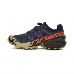 SalomonSpeedcross6Heren