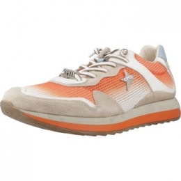 SneakersCettiC1382V25