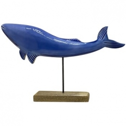 BeeldjesSignesGrimaltWalvisL