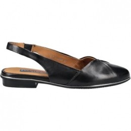 BallerinasEverybodyBallerinas