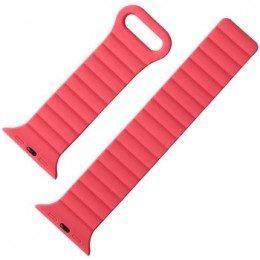 HorlogePlatyneBraceletdemontreAppleWatch