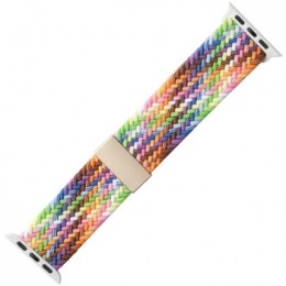 HorlogePlatyneBraceletdemontreAppleWatch