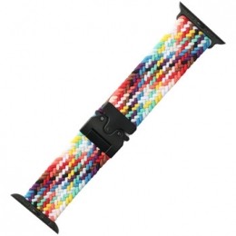 HorlogePlatyneBraceletdemontreAppleWatch