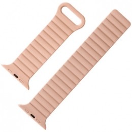 HorlogePlatyneBraceletdemontreAppleWatch