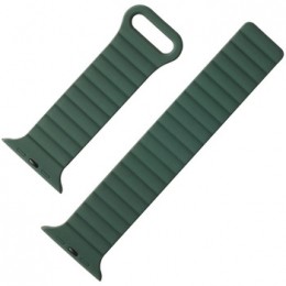 HorlogePlatyneBraceletdemontreAppleWatch