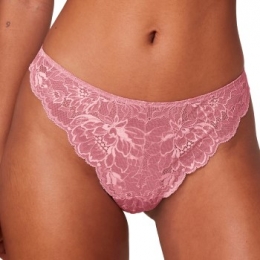 TriumphAmouretteCharmTHighlegBrazilianActie