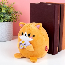 Kawaiikatboekensteun-Oranjecontroller