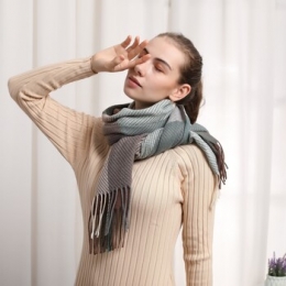 SjaalV1969Bigcasekasjmiersjaal