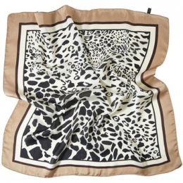 SjaalAlbertoCabaleKleinezijdenvierkantPanterProcessClo