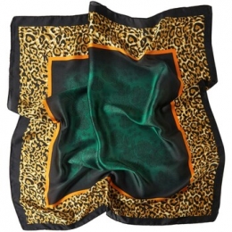 SjaalAlbertoCabaleCheetahClozijdevierkantje