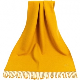 SjaalAlbertoCabaleGelecashmeresjaalRecto-Verso