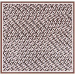 SjaalV1969CarrvanZijdeBB