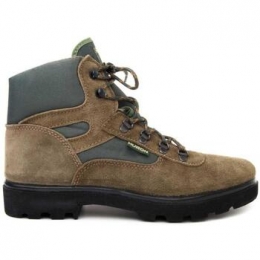 LaarzenNorthome55370