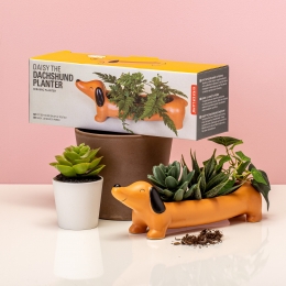 HuisdierBloempot-Teckel