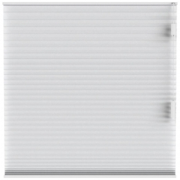 LeenBakker-FenstrPlissgordijnChicagoDubbel25mmLichtdoorlatend-10011-Polyester-Wit-120x10x10Cm