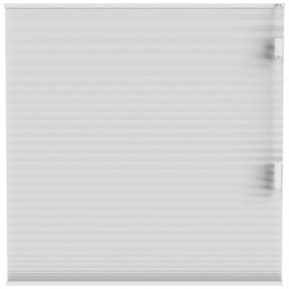LeenBakker-FenstrPlissgordijnBostonDubbel25mmLichtdoorlatend-Off-white10716-Polyester-Wit-120x10x10Cm