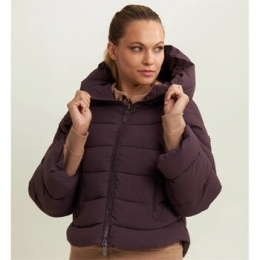 WindjackFreddyF25WPJJ15