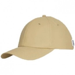PetRainsCAP
