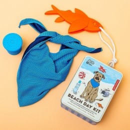 Stranddagkitvoorhonden